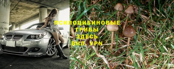 прущая мука Няндома