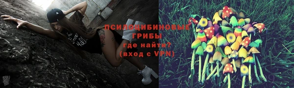дмт Нягань